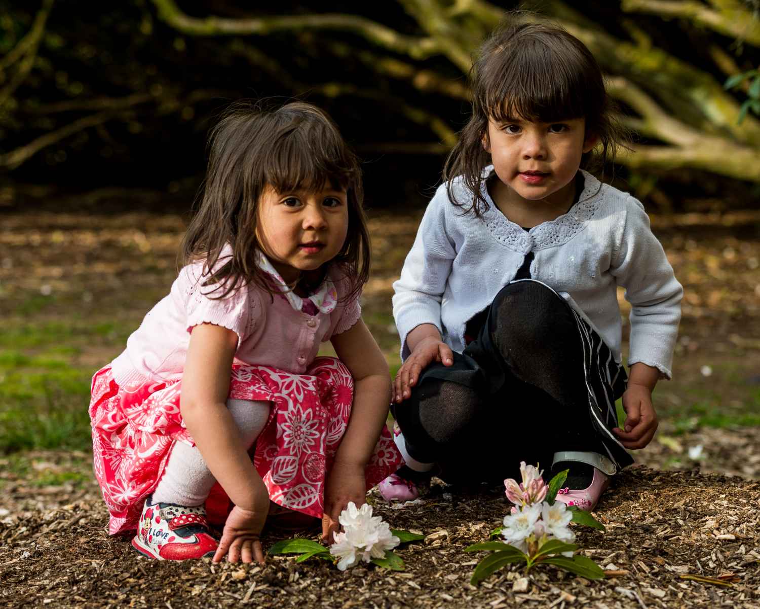 Photograph taken at Craig-y-Nos Country Park
