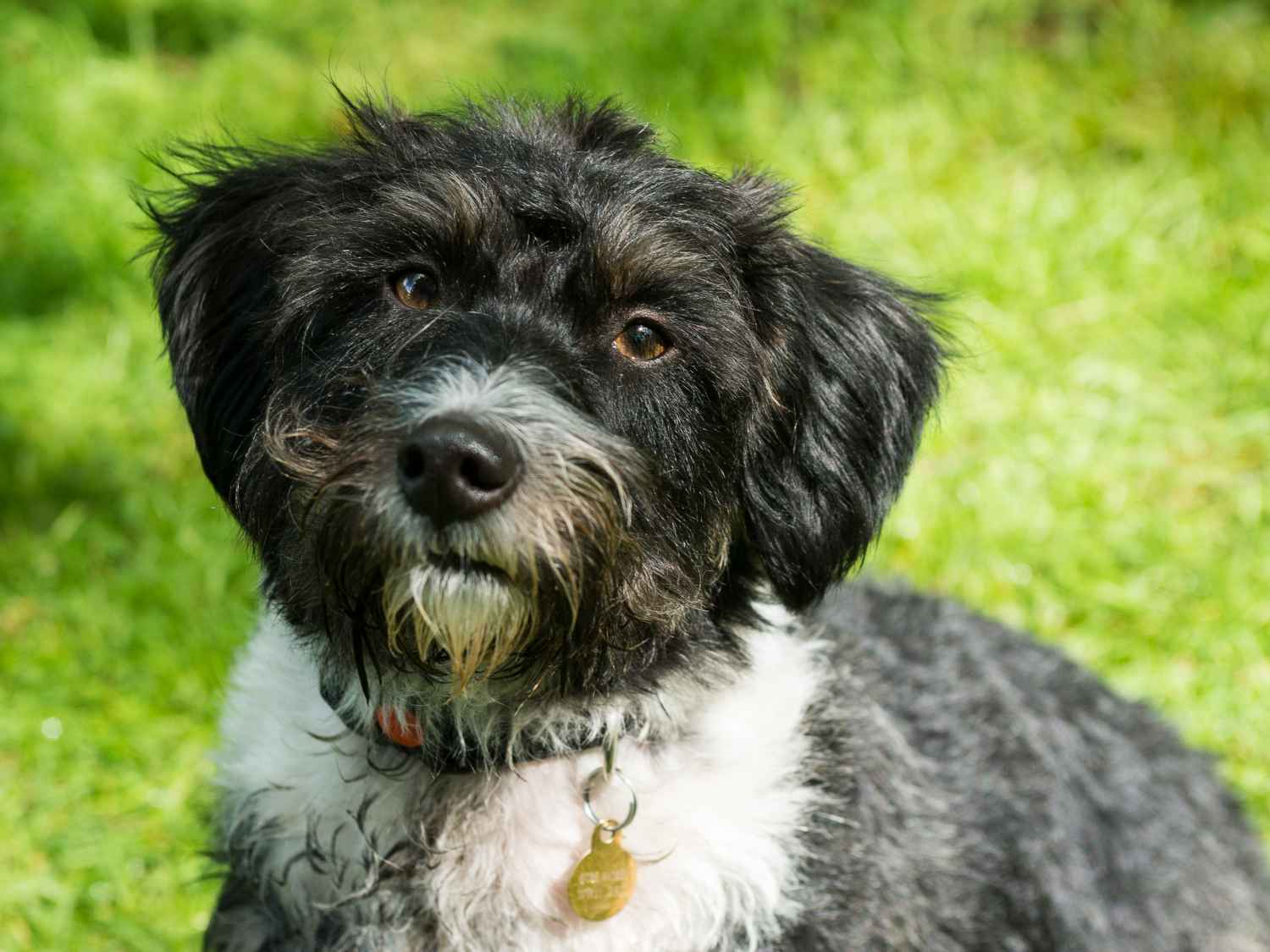 Photograph taken at Craig-y-Nos Country Park