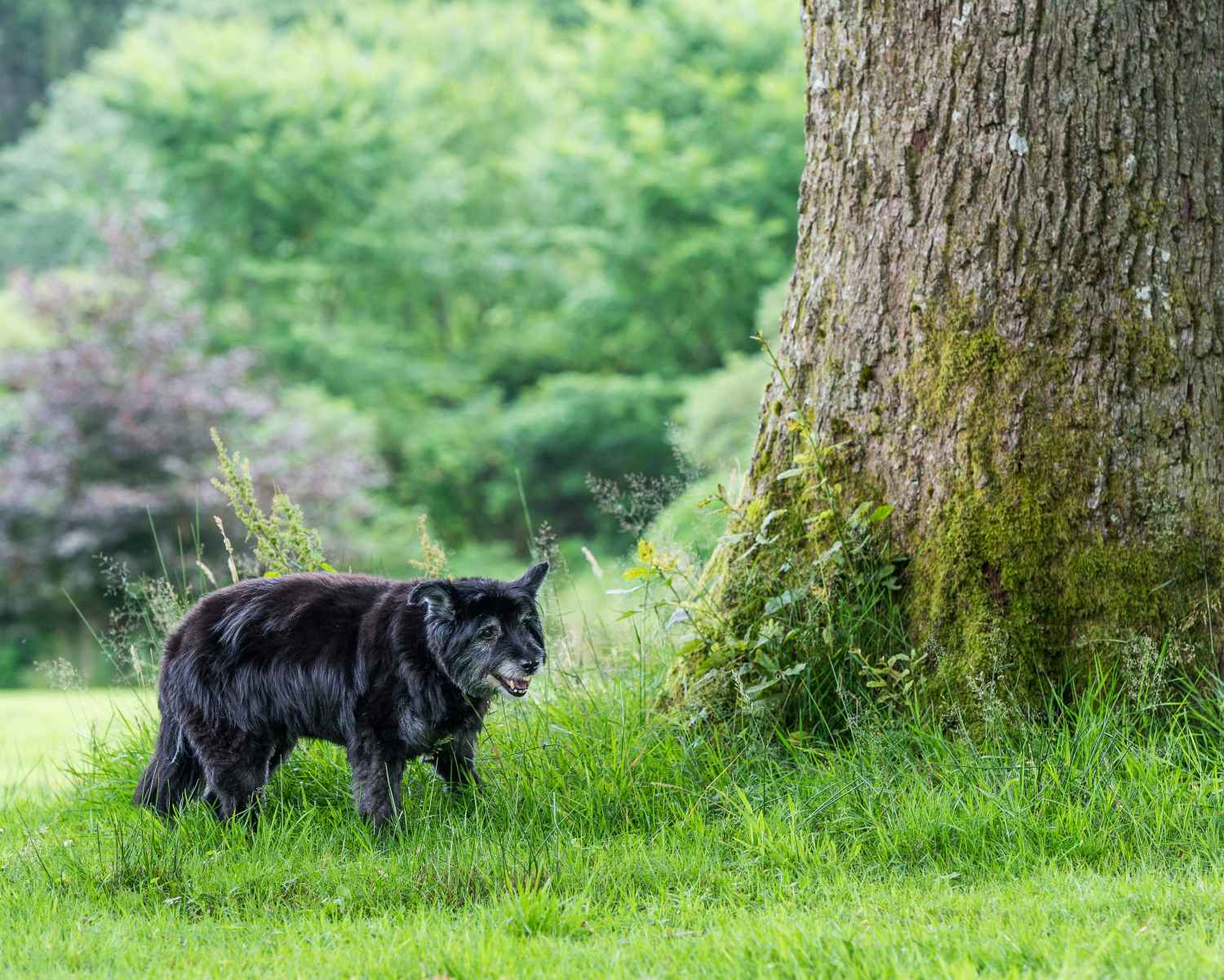 Photograph taken at Craig-y-Nos Country Park