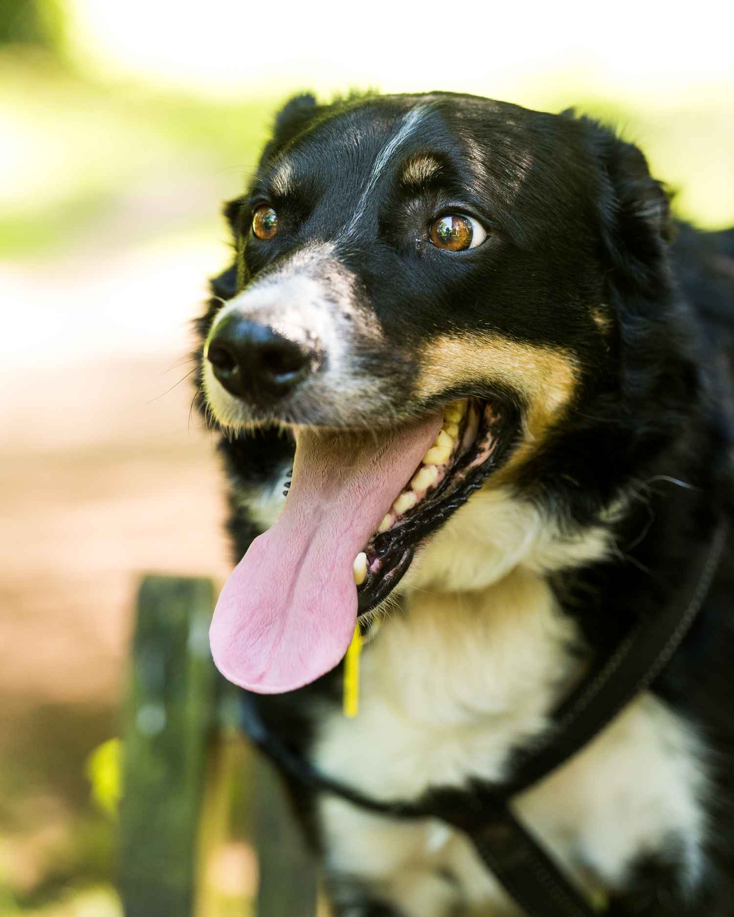Photograph taken at Craig-y-Nos Country Park