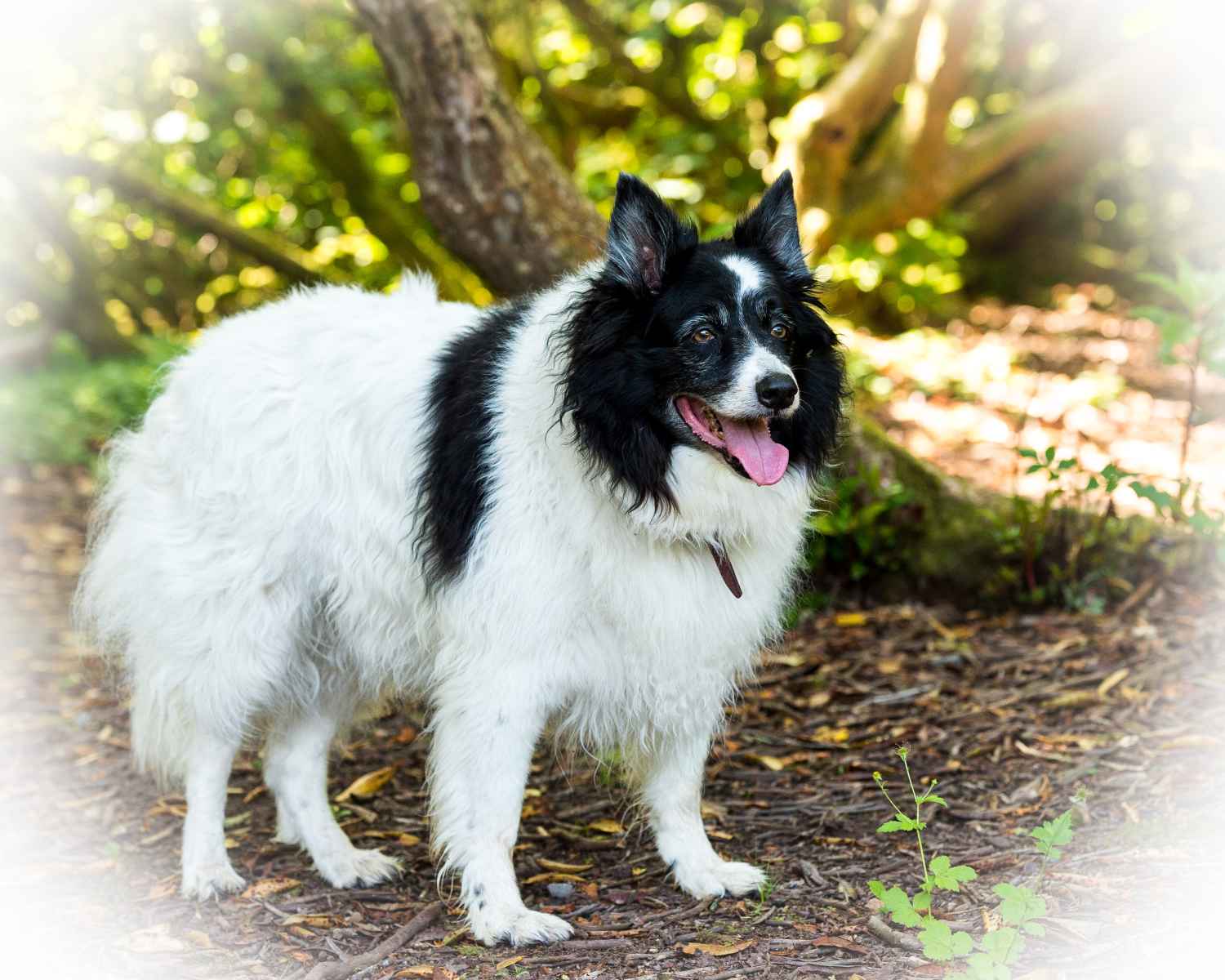 Photograph taken at Craig-y-Nos Country Park