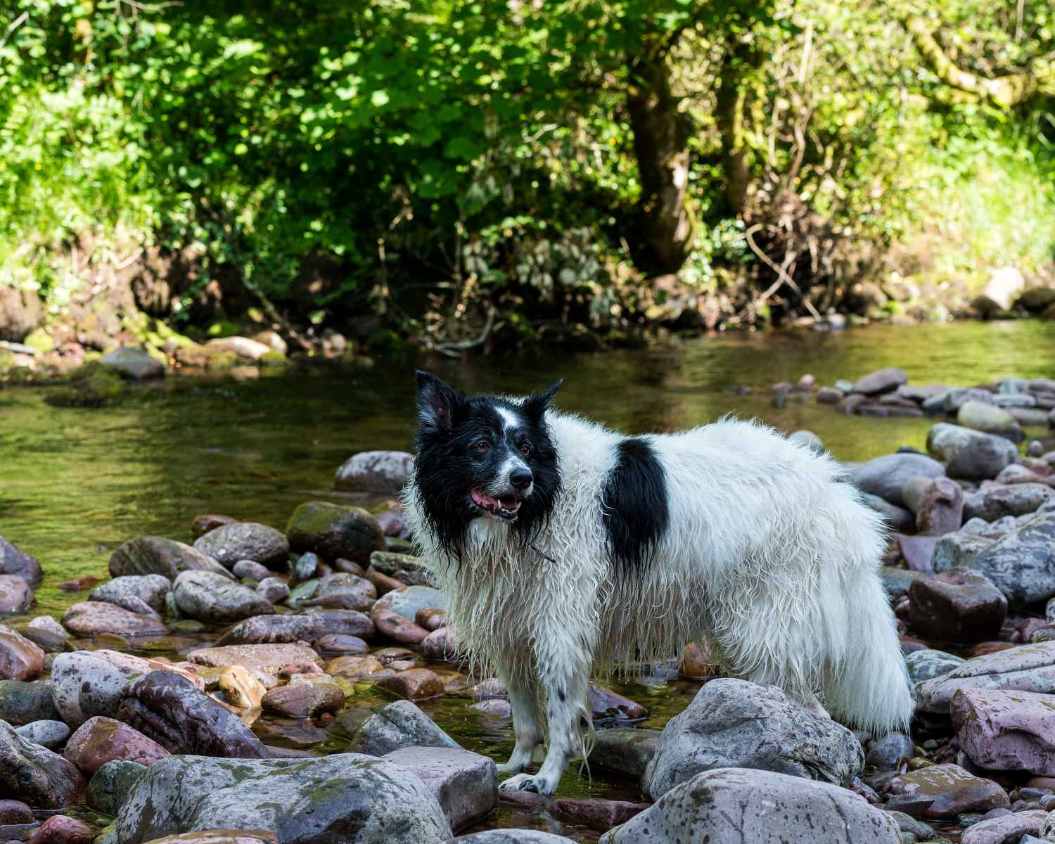 Photograph taken at Craig-y-Nos Country Park