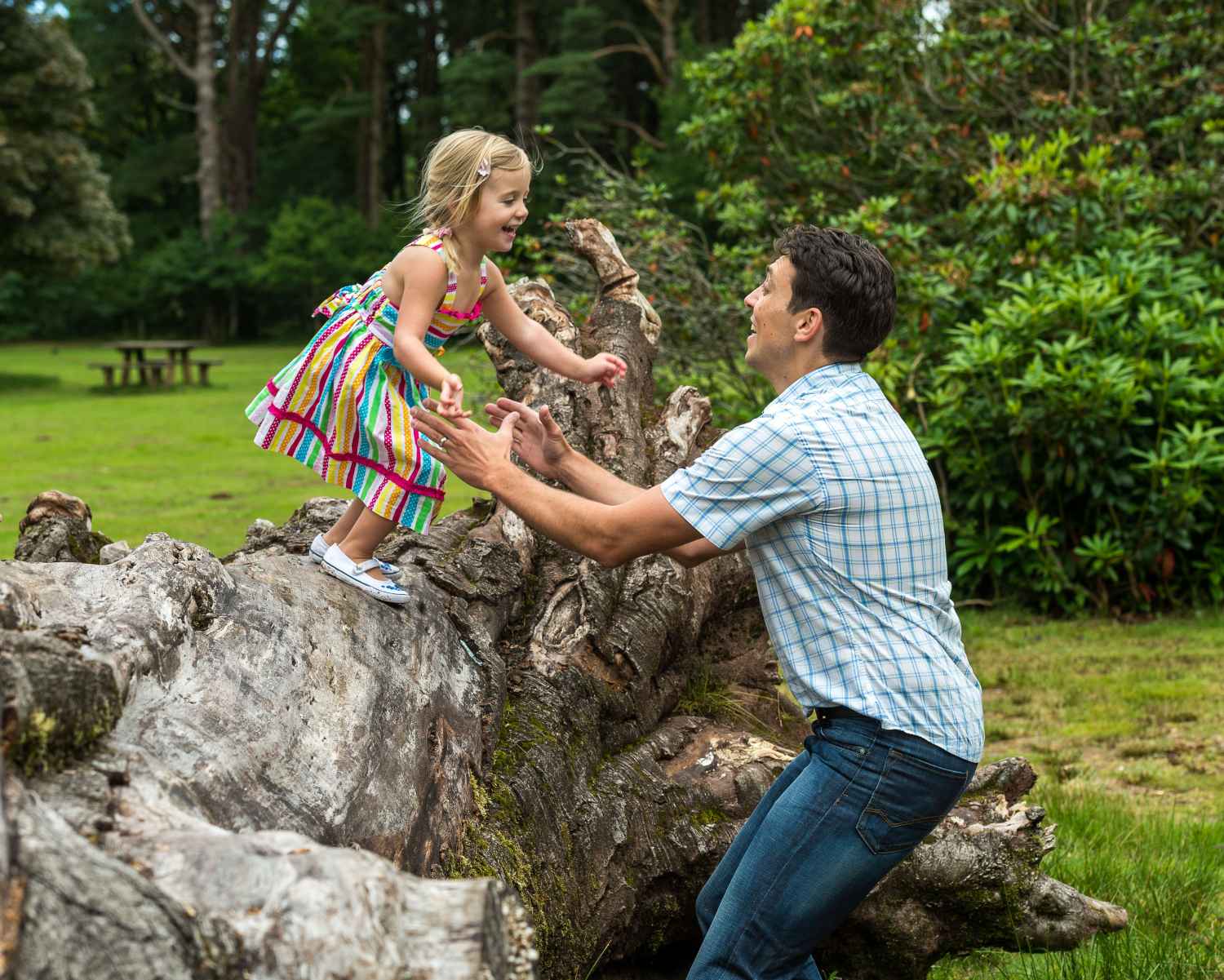 Photograph taken at Craig-y-Nos Country Park