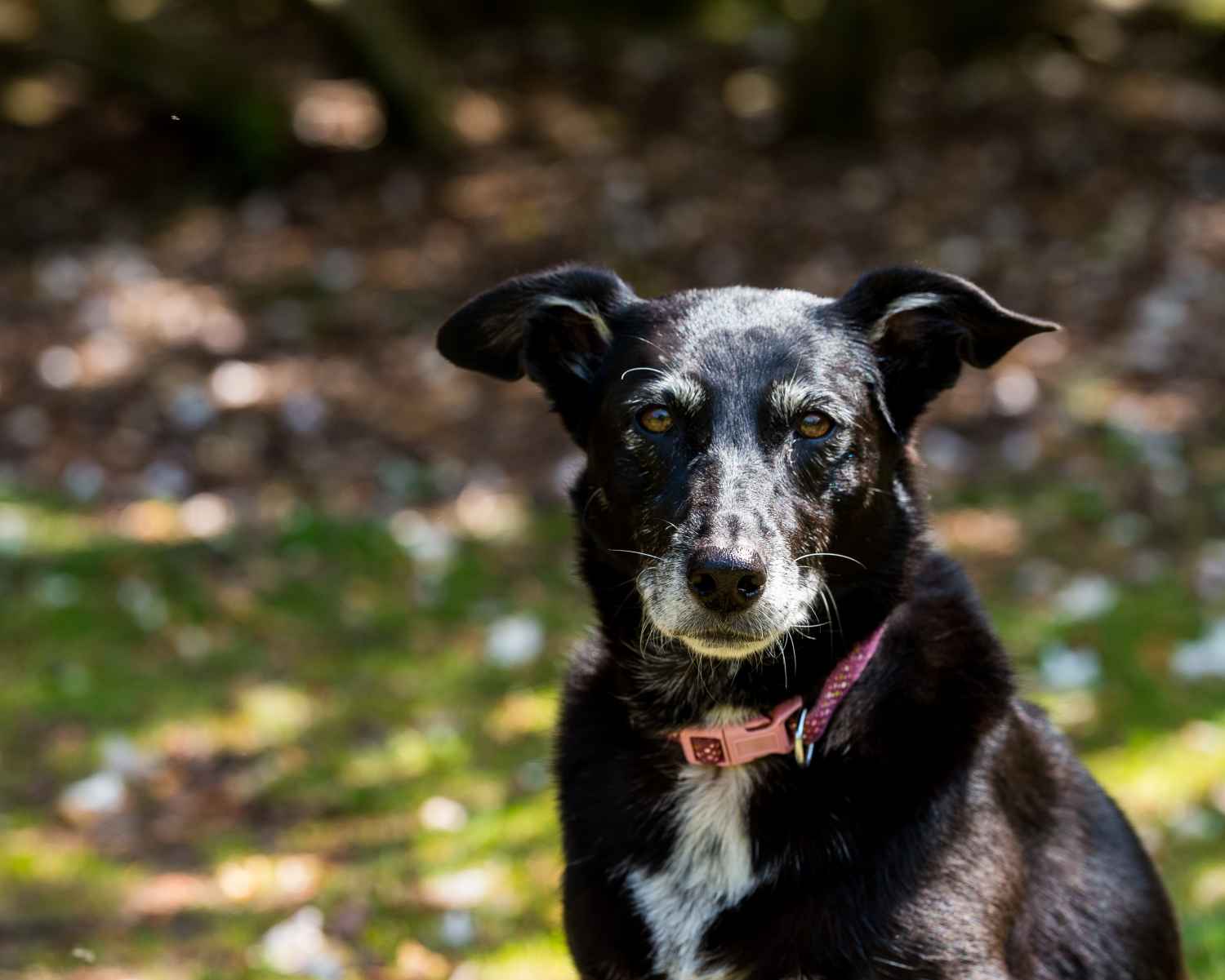 Photograph taken at Craig-y-Nos Country Park