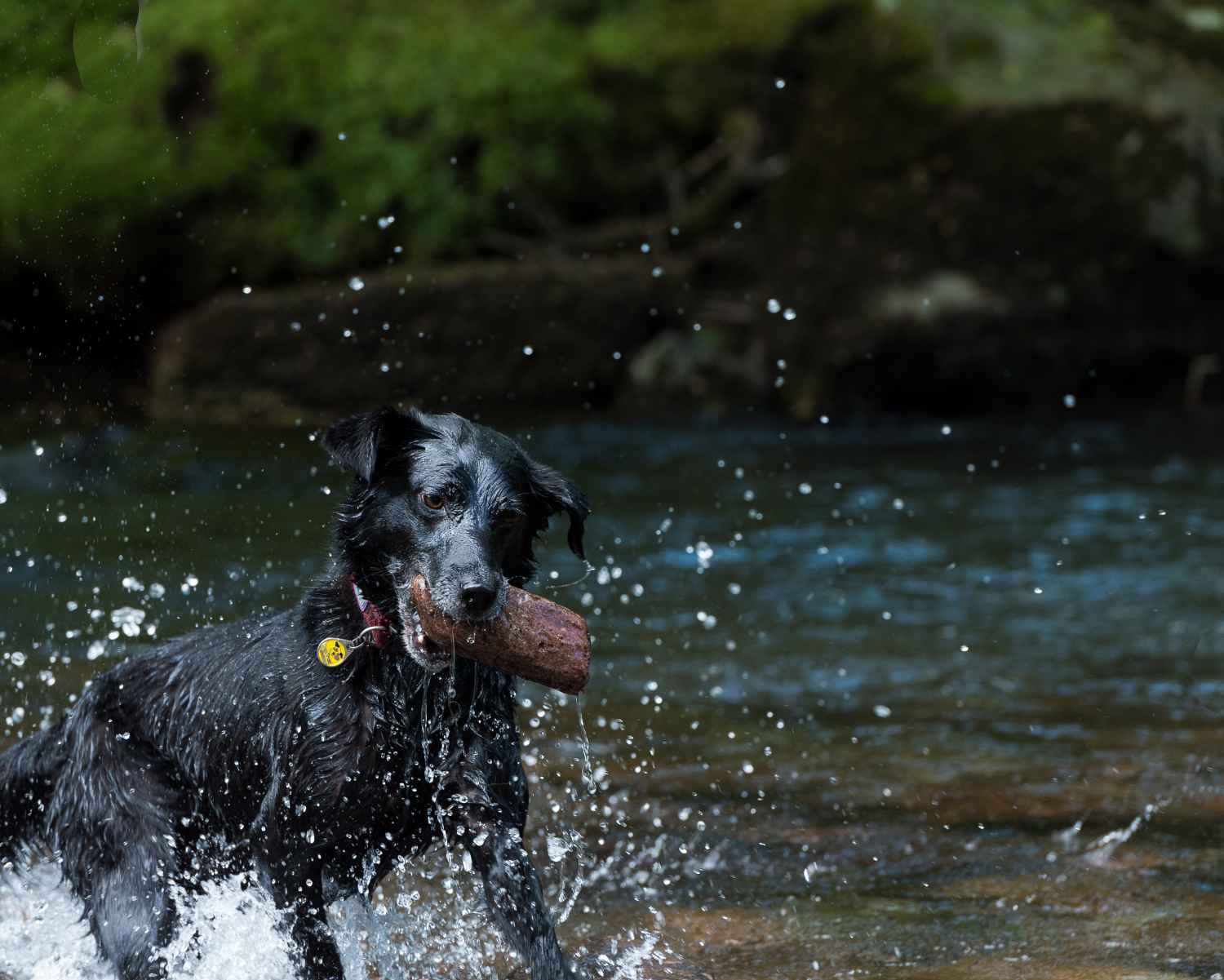 Photograph taken at Craig-y-Nos Country Park