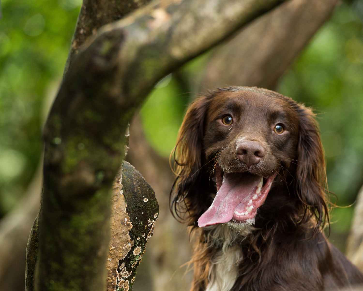 Photograph taken at Craig-y-Nos Country Park