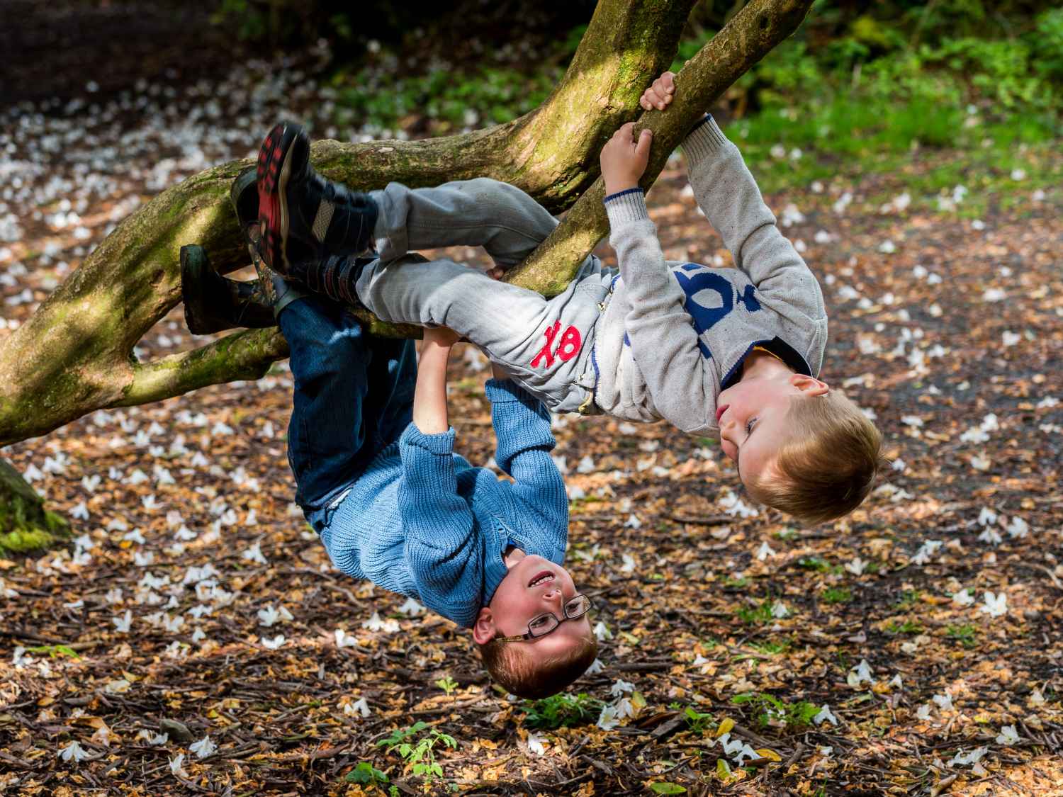 Photograph taken at Craig-y-Nos Country Park