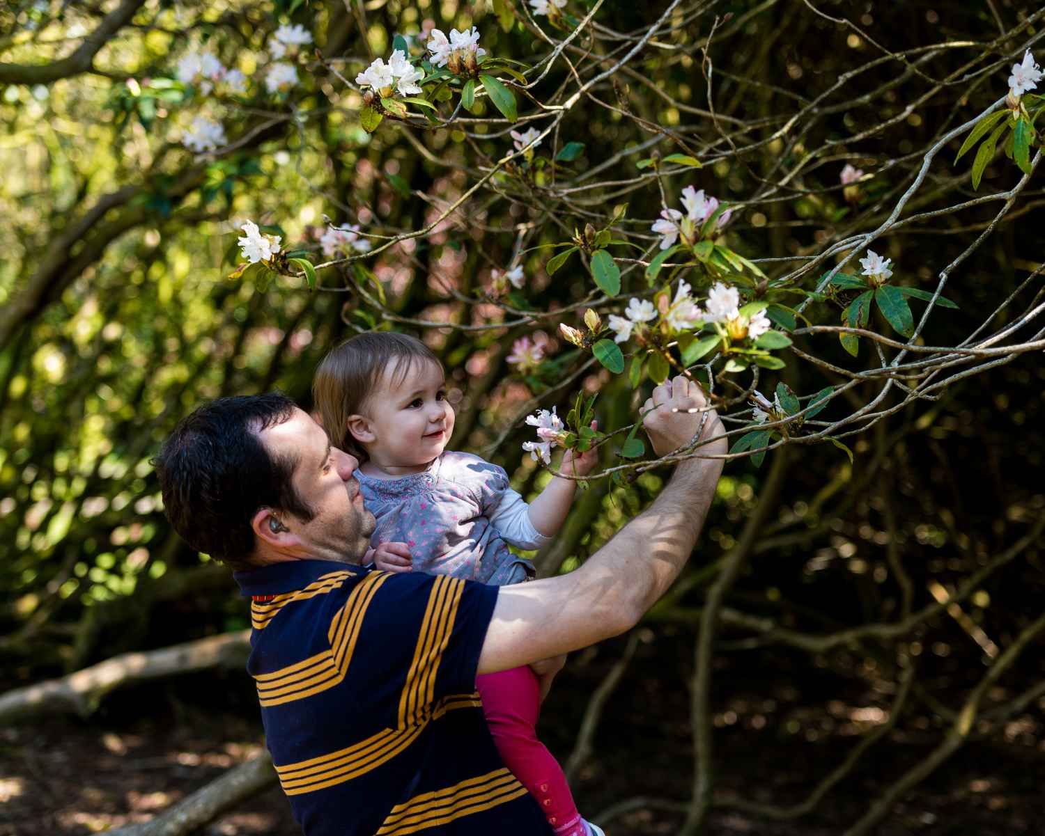 Photograph taken at Craig-y-Nos Country Park