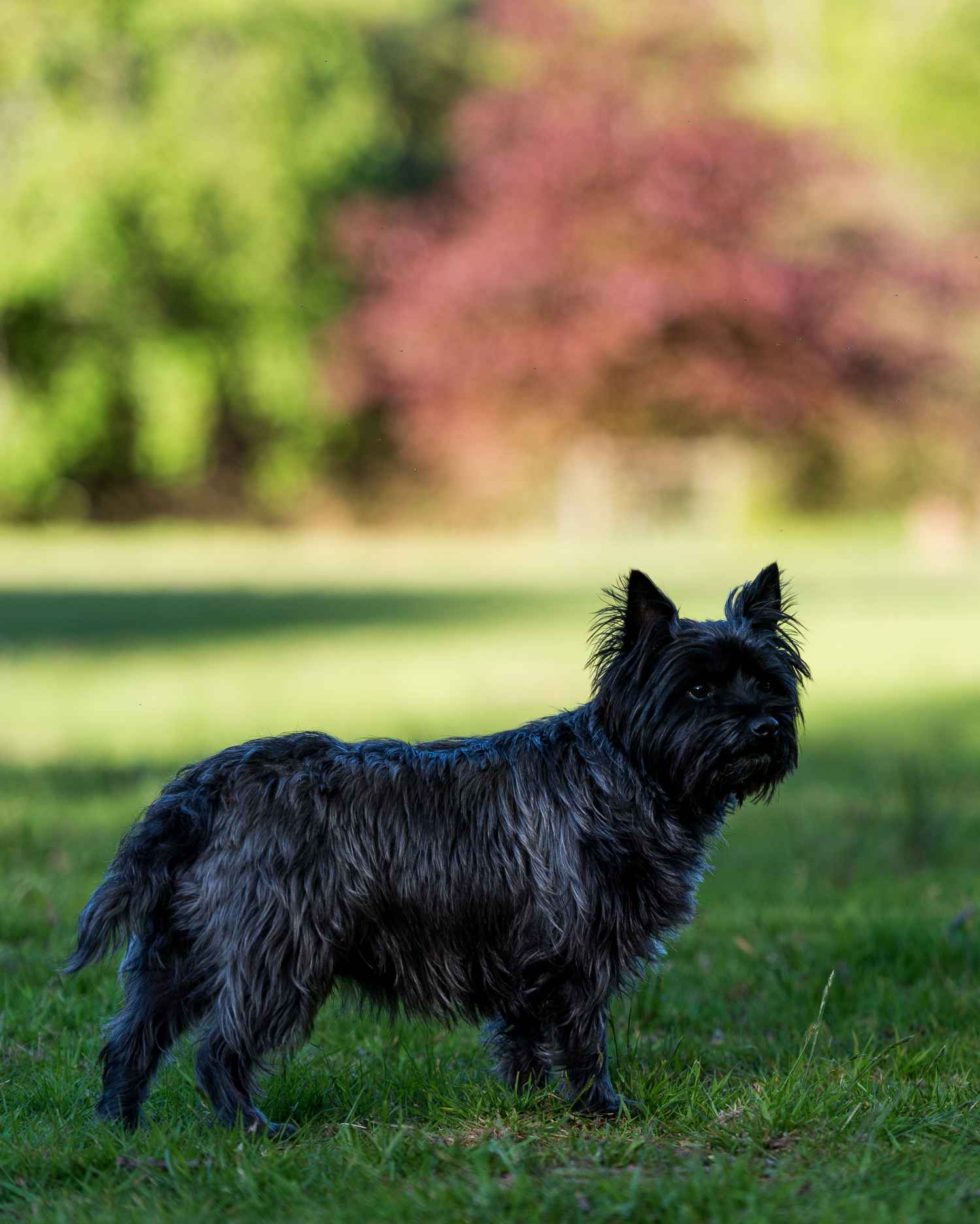 Photograph taken at Craig-y-Nos Country Park