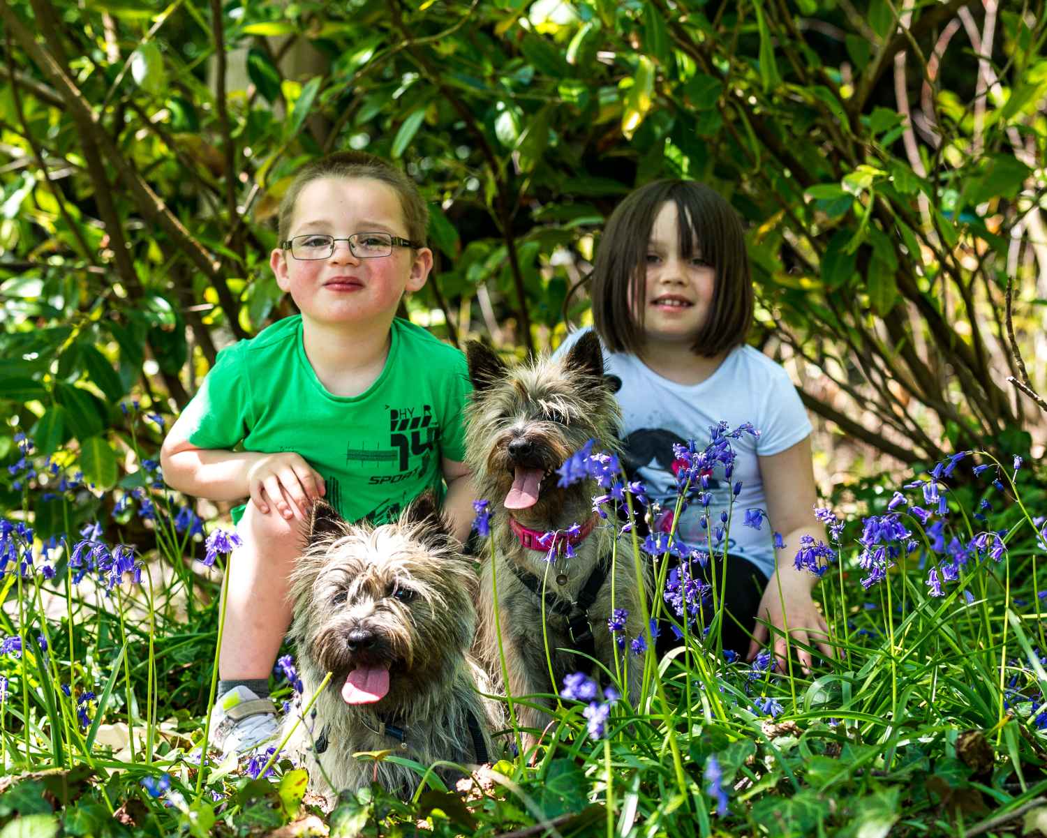 Photograph taken at Craig-y-Nos Country Park