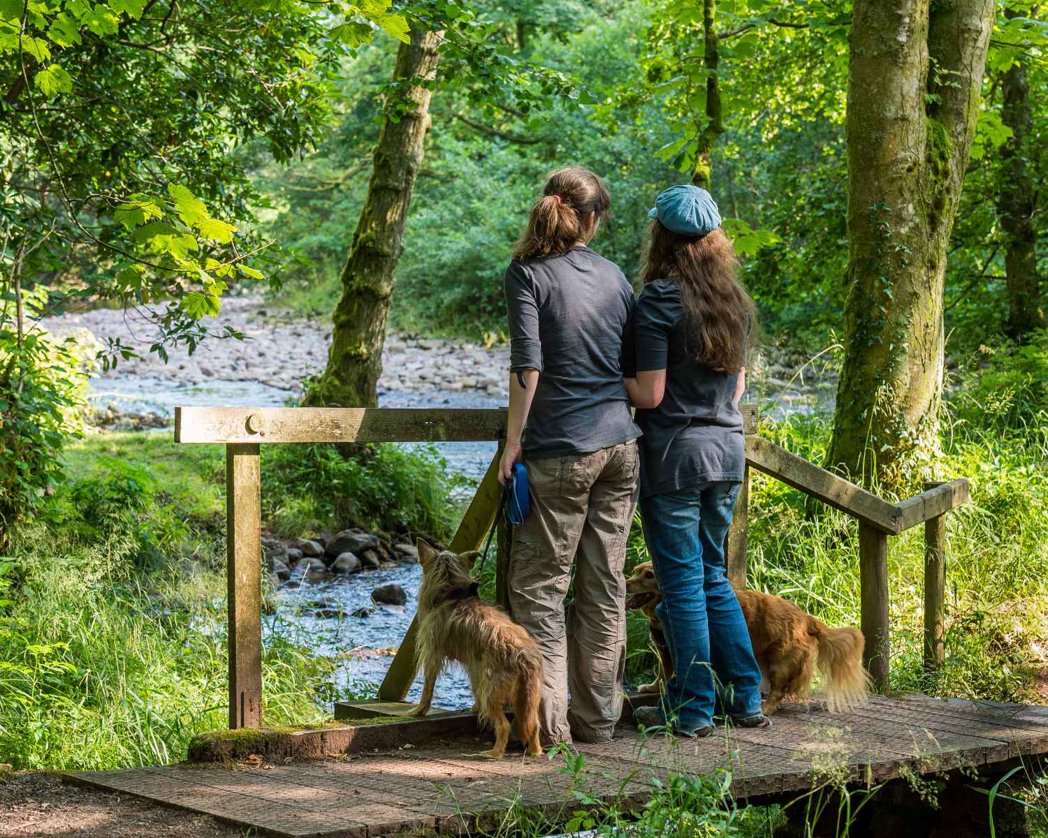 Photograph taken at Craig-y-Nos Country Park