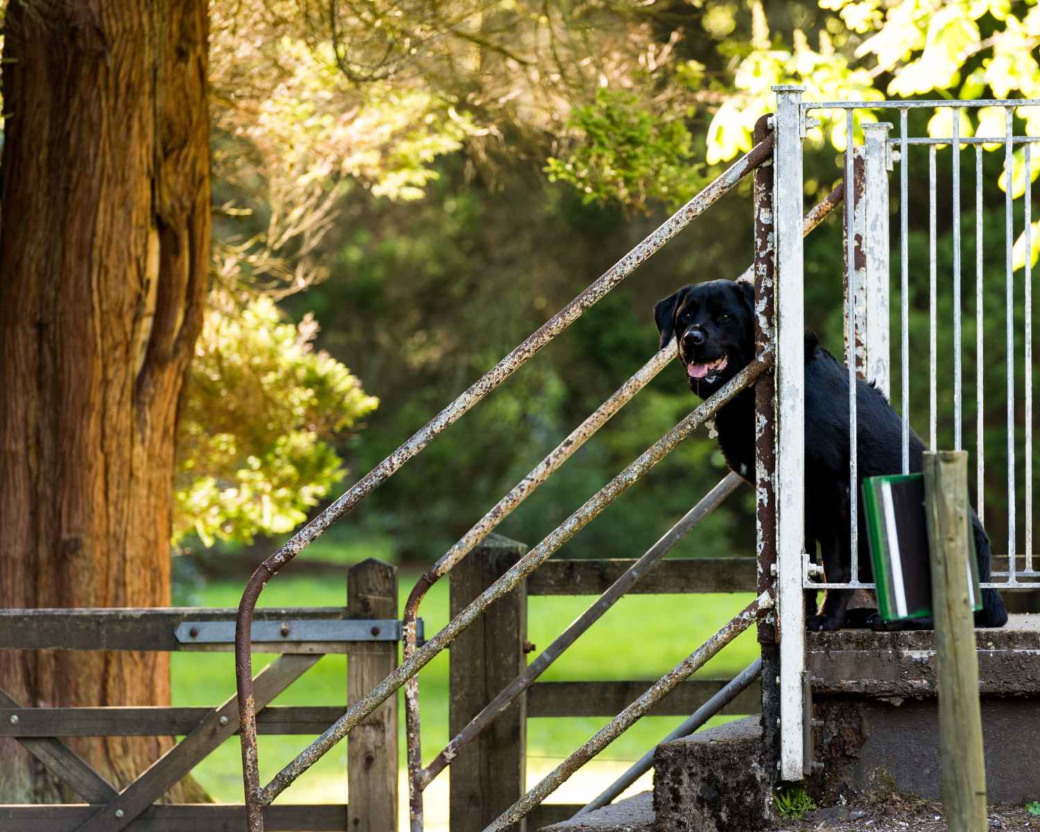 Photograph taken at Craig-y-Nos Country Park